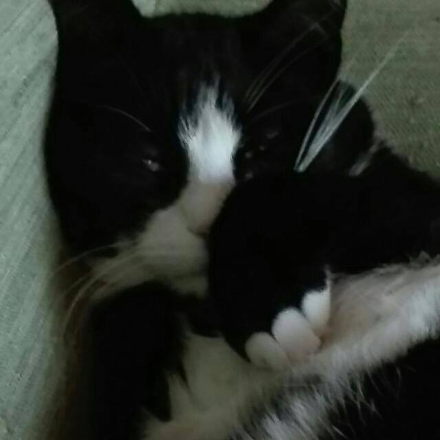 Wenn alles zu viel ist ...