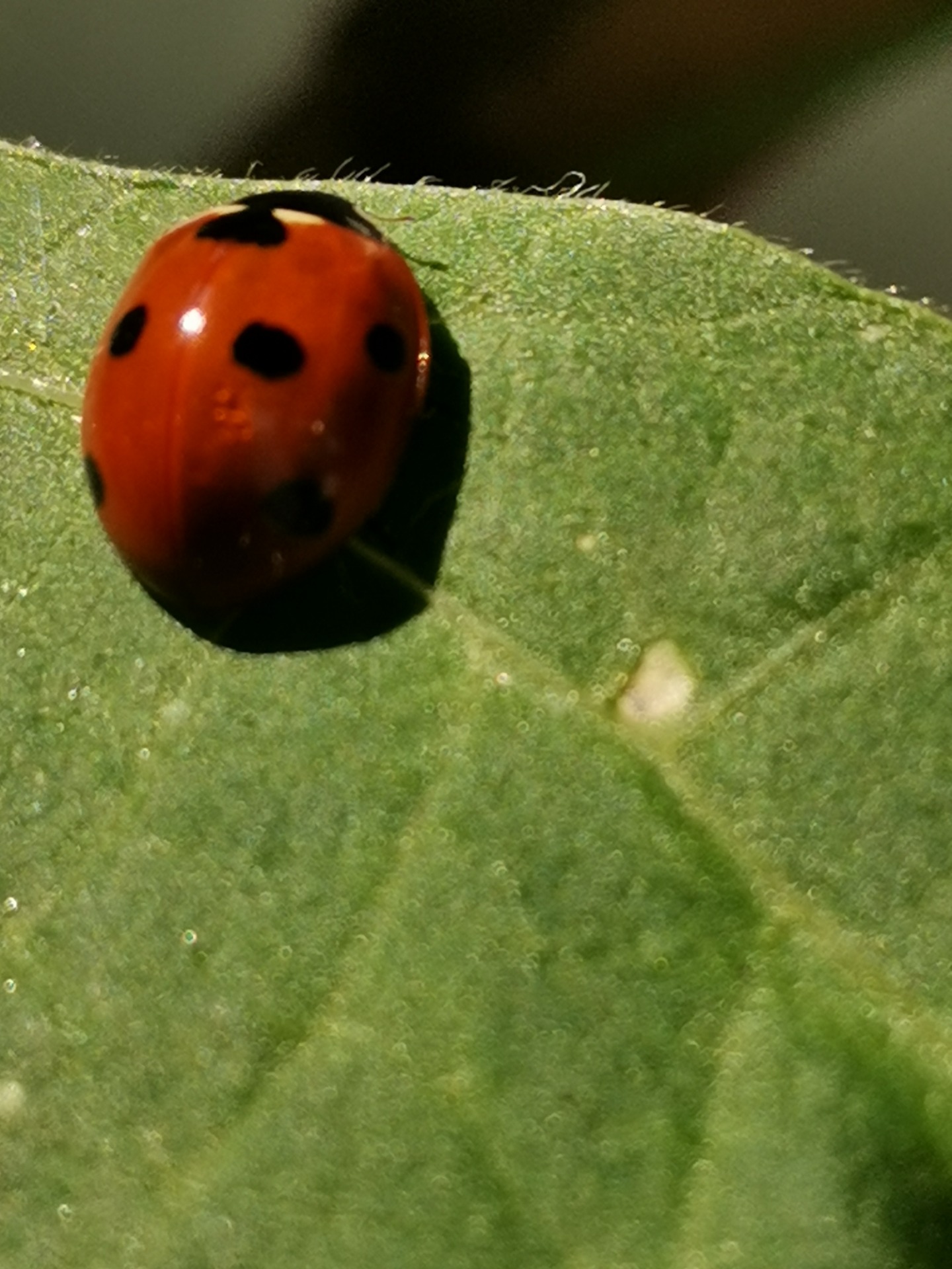 Was ist mit mir los?