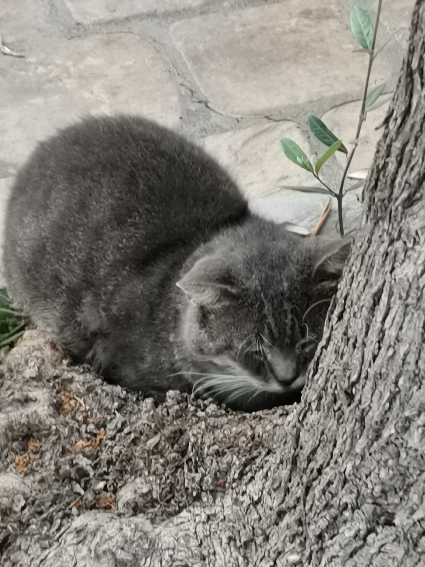 Beratung bei Kränkung und Scham