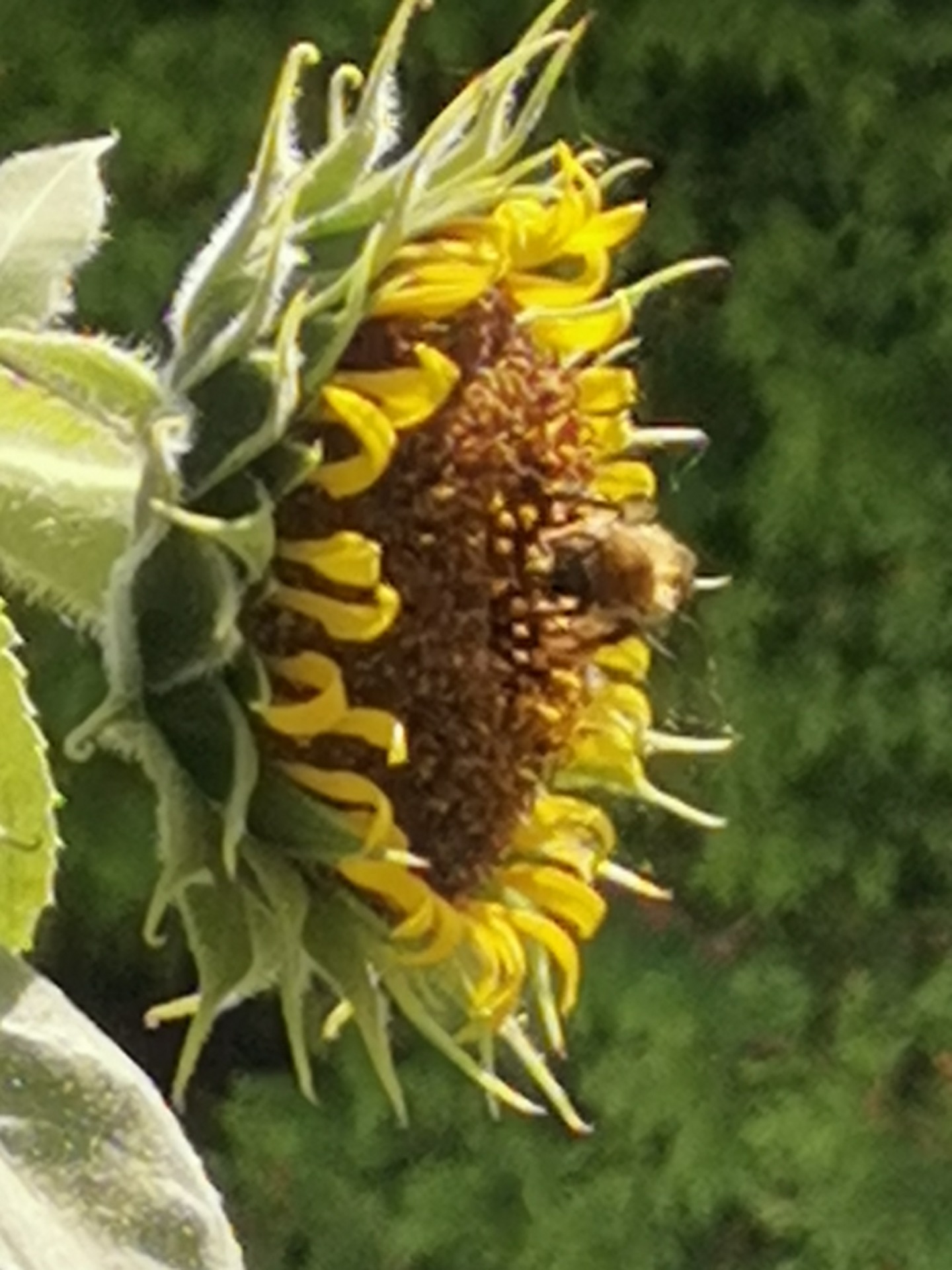 Entlastungsgespräche 