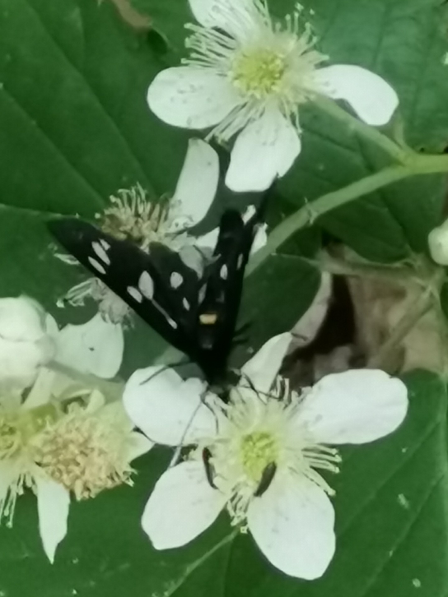 Zurück zu den eigenen Bedürfnissen