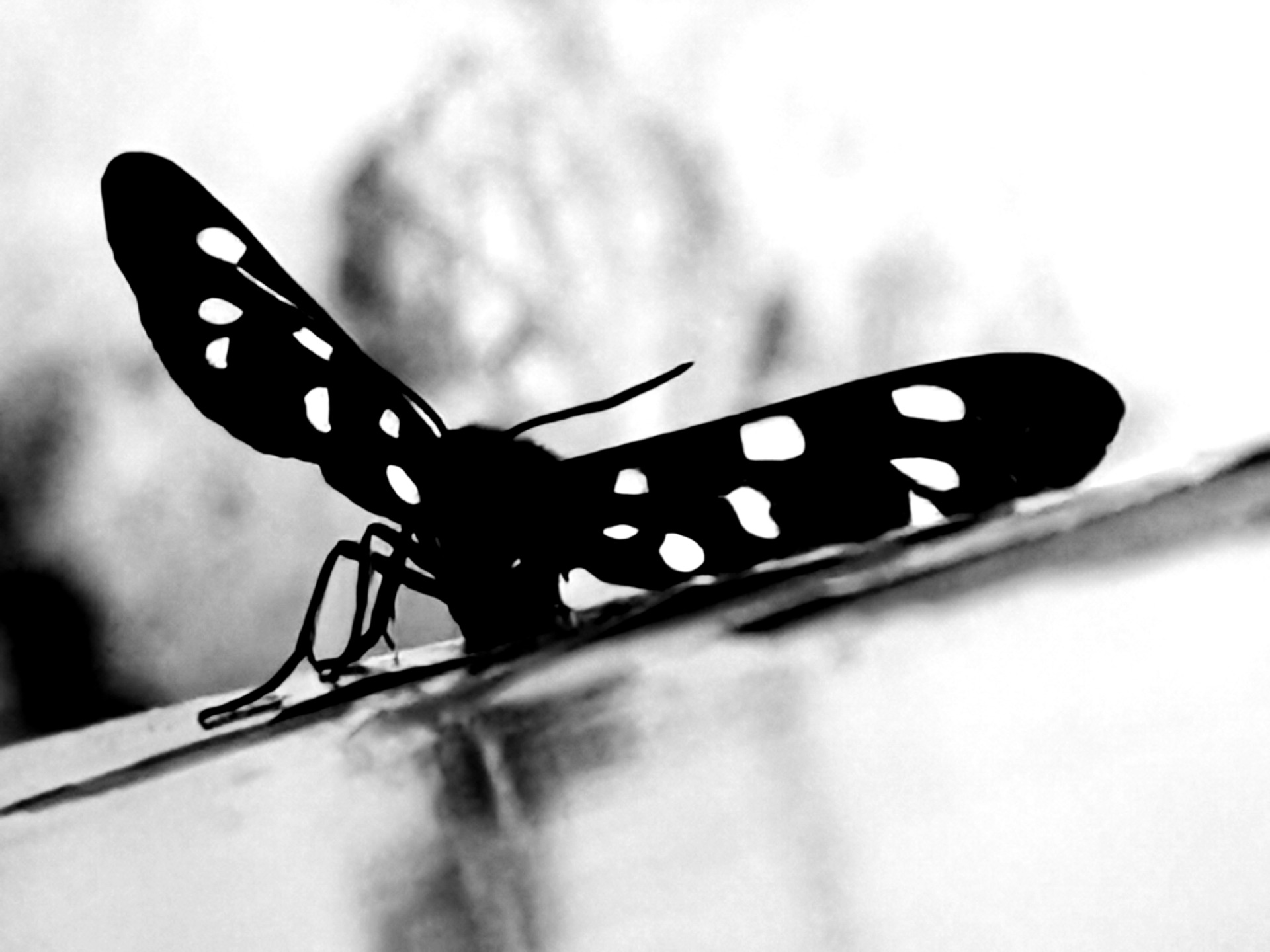 PERFEKTIONISMUS - Beratung