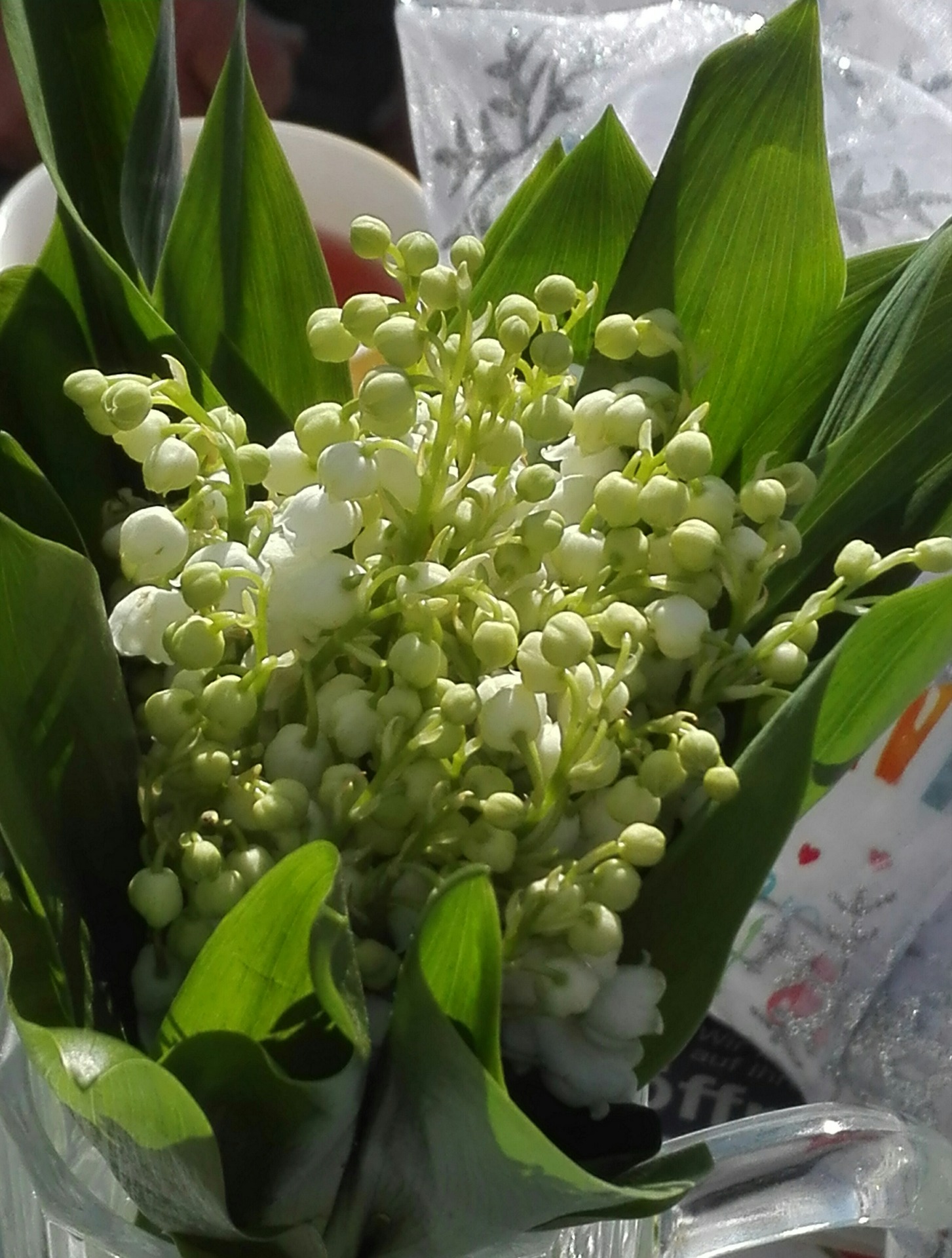 Psychologische Beratung für Frauen in den Wechseljahren