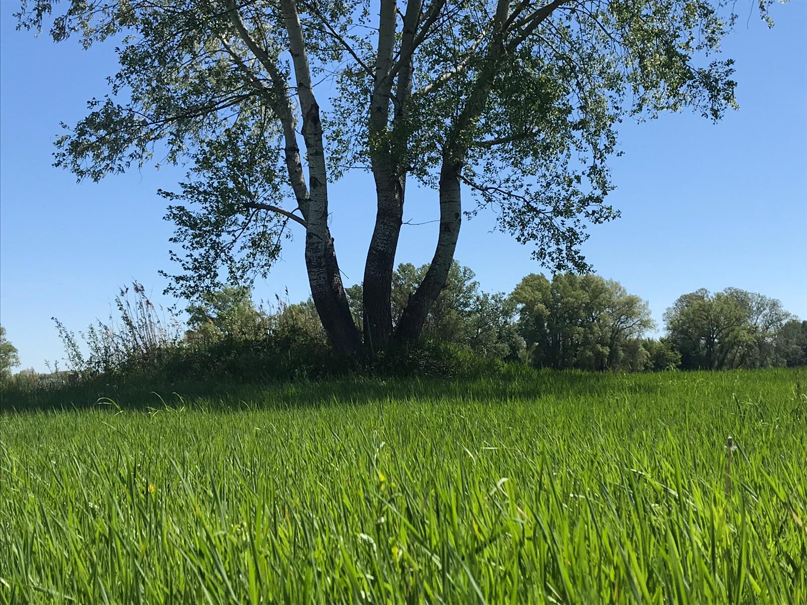 Wechseljahre - Beratung für Männer